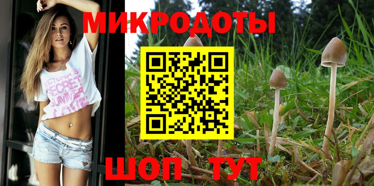 дарнет шоп  Вход с VPN  Якутск  Псилоцибиновые грибы Cubensis  Галлюциногенные грибы GOLDEN TEACHER 