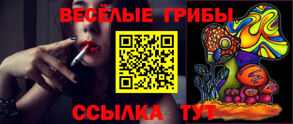 Псилоцибиновые грибы мицелий Якутск